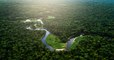 Brésil : la déforestation de l'Amazonie pourrait augmenter les températures locales de 1,5°C