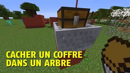 Minecraft : voilà comment cacher un coffre dans un arbre !