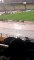 Sénégal/Burkina Faso : Pluie diluvienne sur Yaoundé à quelques heure du match