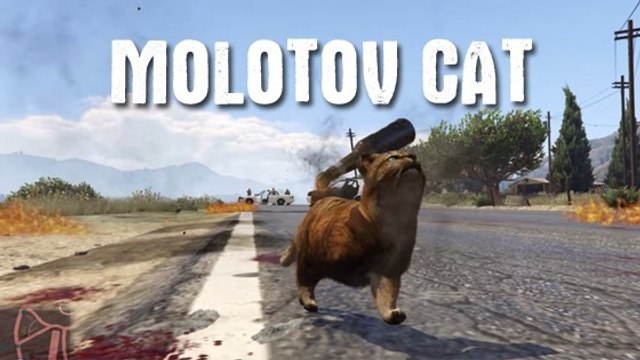 GTA 5 : le chat le plus badass jamais vu à Los Santos