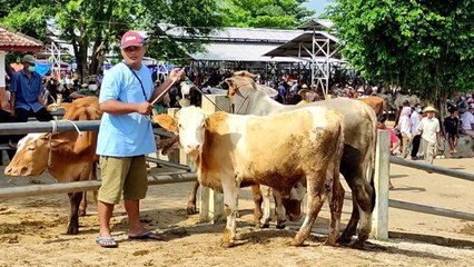 Dua Desa di Gunungkidul Ditetapkan Zona Merah Antraks