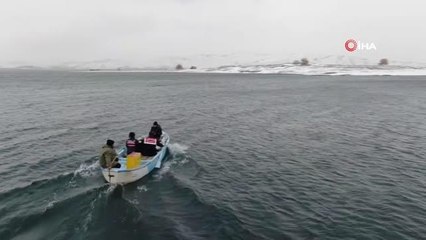 Son dakika haberi... Tavşan Adası'nın uzun kulaklı sakinleri jandarma tarafından besleniyor