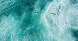 Réchauffement climatique : les océans pourraient monter de 2 mètres d'ici 2100
