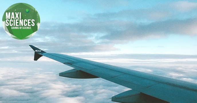 Conscience, cellule et abeilles, les 8 actus sciences que vous devez connaître ce 8 février