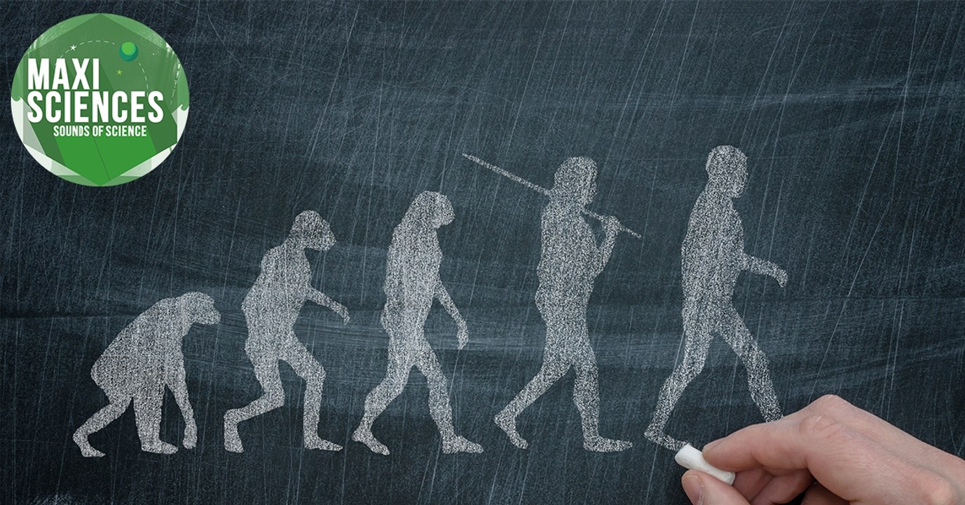 Darwin, insectes et Ultima Thulé, les 8 actus sciences que vous devez connaître ce 12 février