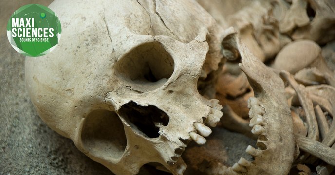 Néandertal, la fusion nucléaire et ours polaire, les 8 actus sciences que vous devez connaître ce 27 février