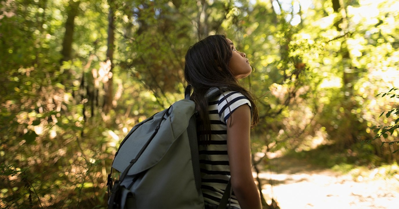 Déforestation : aux Philippines, les étudiants sont maintenant légalement obligés de planter des arbres