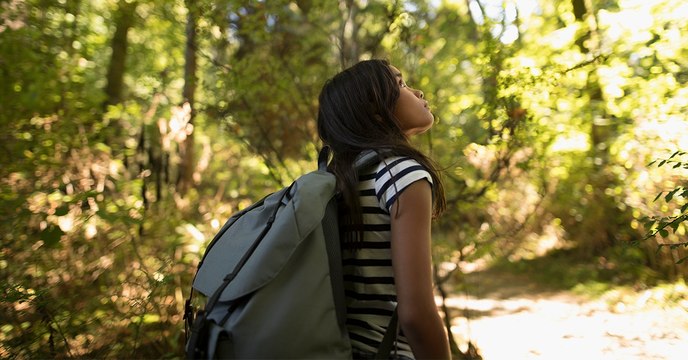 Déforestation : aux Philippines, les étudiants sont maintenant légalement obligés de planter des arbres
