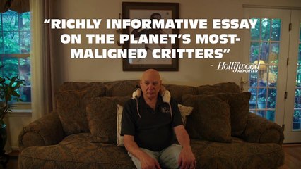 Fare Filmi - Fragman