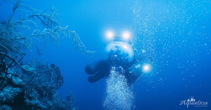 Les profondeurs du Grand trou bleu du Belize révélées sous un nouveau jour