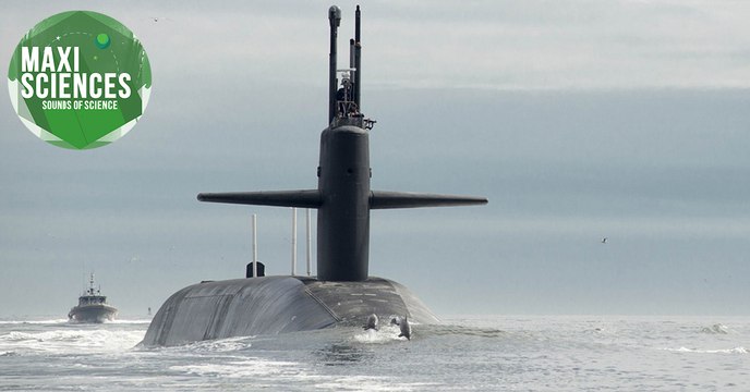 Poker, sous-marin et univers parallèles, les actus sciences que vous devez connaître ce 13 juillet