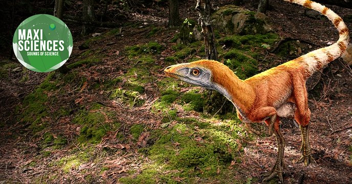 Requin, lac et dinosaures, les actus sciences que vous devez connaître ce 9 juillet