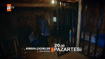 Kırgın Çiçekler 71.Bölüm Fragmanı