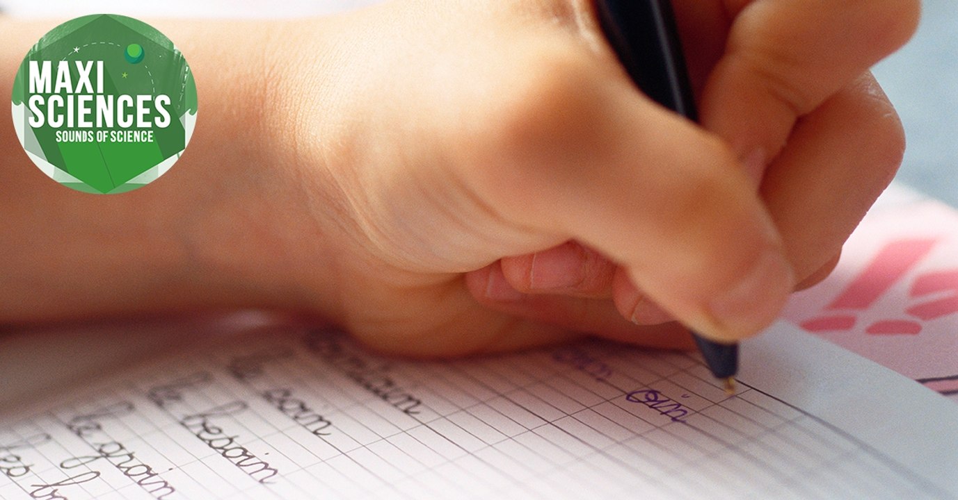 Plastique, cahiers de vacances et journée mondiale des gauchers, les actus sciences que vous devez connaître ce 13 août