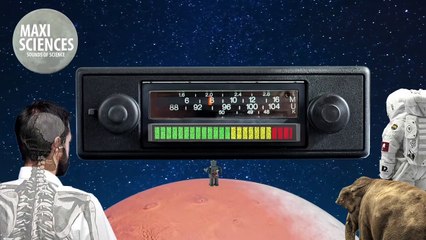 Requin, scanner et Lune, les actus sciences que vous devez connaître ce 25 juillet