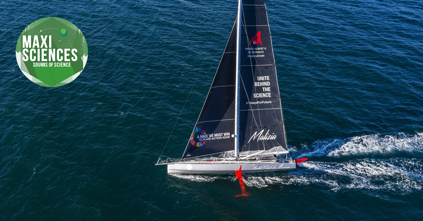 Greta Thunberg, trou noir et glaces, les actus sciences que vous devez connaître ce 15 août