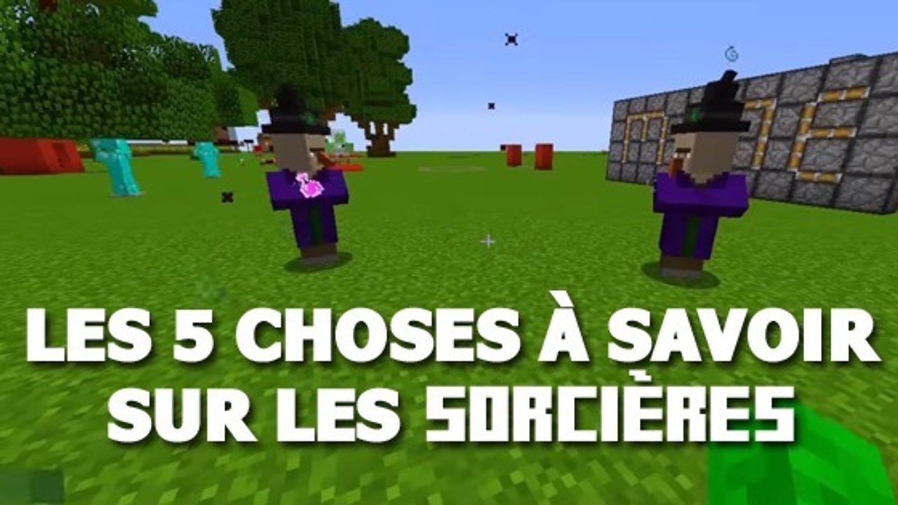 Minecraft : 5 choses que vous ignoriez probablement sur les sorcières