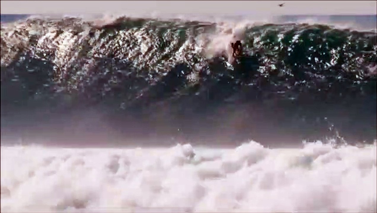 Une baleine saute derrière un surfeur... image magnifique