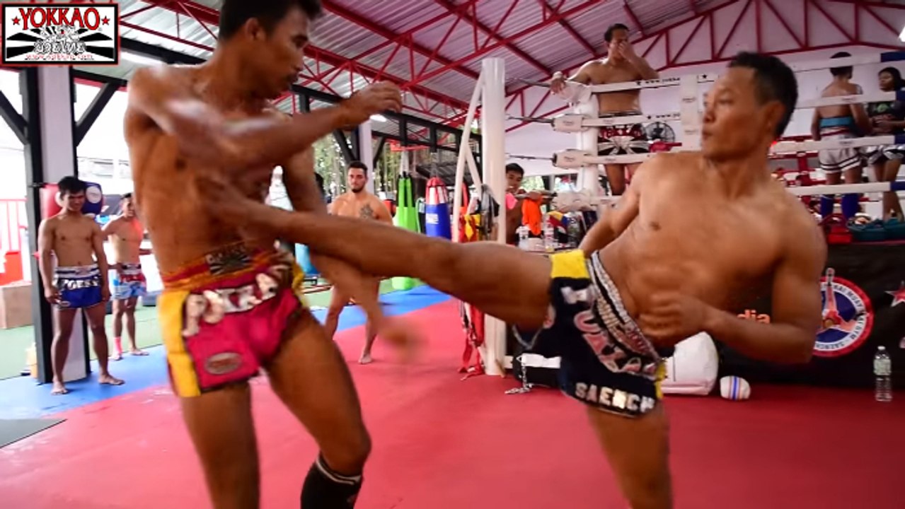 Die Muay-Thai Legende Saenchai und Singdam in einem beeindruckenden Training