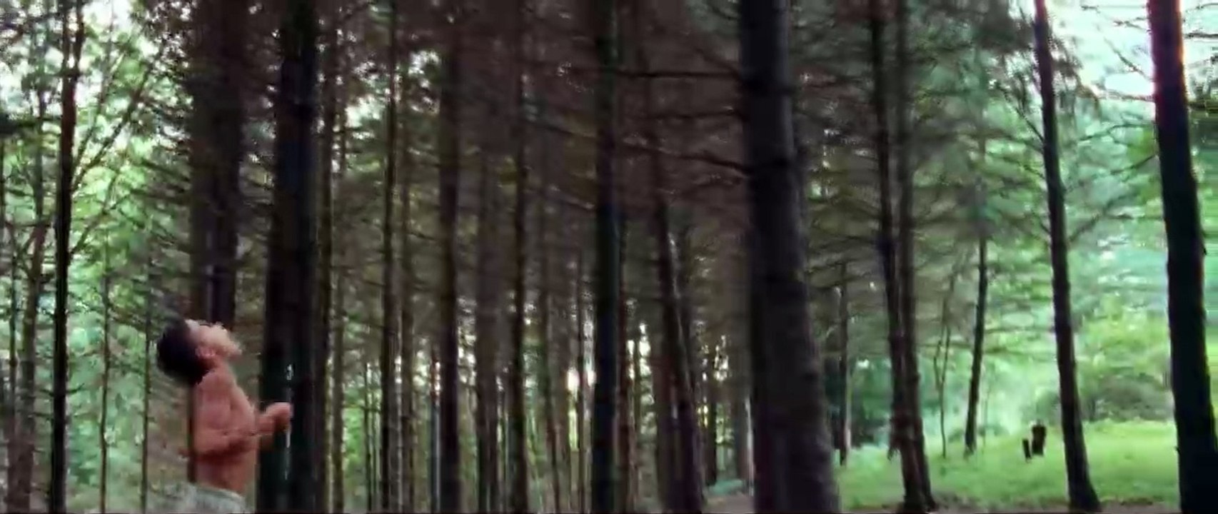 We The Animals Fragman