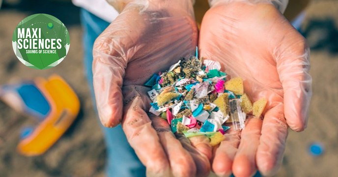 NASA, crocodiles et microplastiques les actus sciences que vous devez connaître ce 18 août