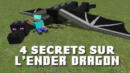 Minecraft : 4 choses que vous ne saviez probablement pas sur l'Ender Dragon !