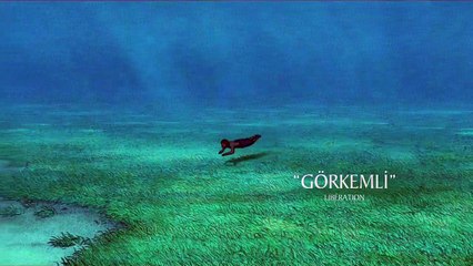 Kırmızı Kaplumbağa Orijinal Teaser