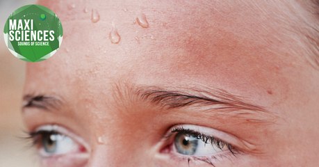 Maisons, infection et canicule, les actus sciences que vous devez connaître ce 29 juillet