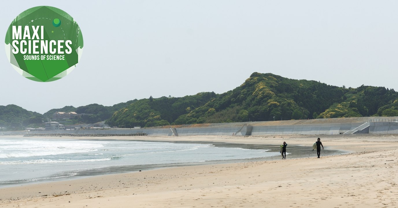 Ménopause, Toutankâmon et astéroïde, les actus sciences que vous devez connaître ce 6 août