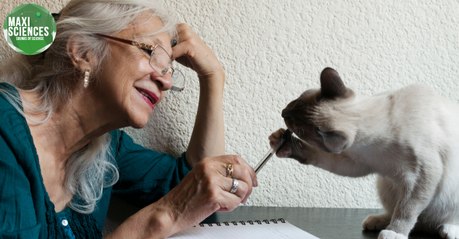 Cerf-volant, sclérose en plaques et chat, les actus sciences que vous devez connaître ce 16 août