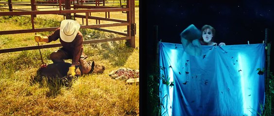 The Young and Prodigious T.S. Spivet Orijinal Fragman