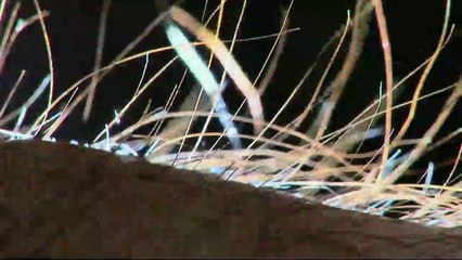 Aşkın Ritmi - Orijinal Fragman (2)