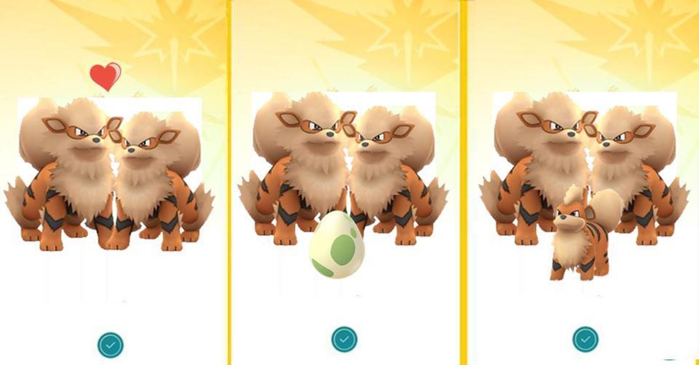 Pokémon GO: Bald können sich die Pokémon fortpflanzen!