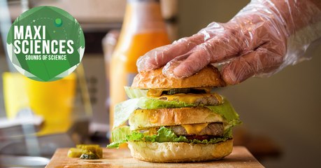 Gants toxiques, amputation et poulpe, les actus sciences que vous devez connaître ce 10 août