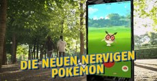 Pokémon GO: Das sind die neuen Rattfratz, Taubsi und Zubat der zweiten Generation