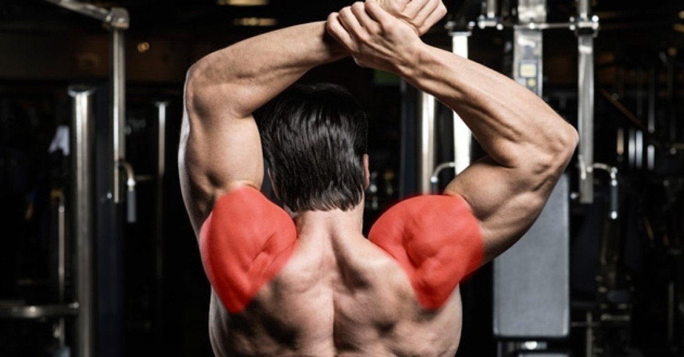 Das ist die ideale Übung, um eure Schultern zu trainieren