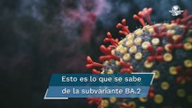 Covid-19: ¿cómo es la nueva subvariante ómicron BA.2 y qué tanto debe preocuparnos?