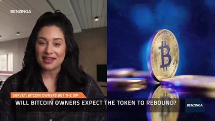 Survey: Bitcoin Owners Buy the Dip