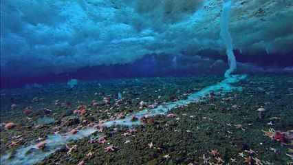 Tödlicher Eisfinger: Kamerateams filmen erstmals das seltene und angsteinflößende Phänomen