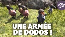 Ark Survival Evolved : une joueuse décide de se créer une armée de dodos !
