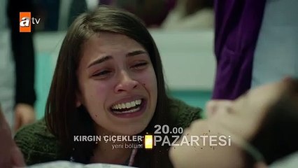 Kırgın Çiçekler 77.Bölüm Fragmanı