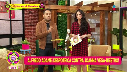 ¡Alfredo Adame DESPOTRICA contra Joanna Vega-Biestro y ella se defiende!