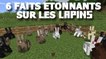 Minecraft : 6 faits surprenants sur les lapins !