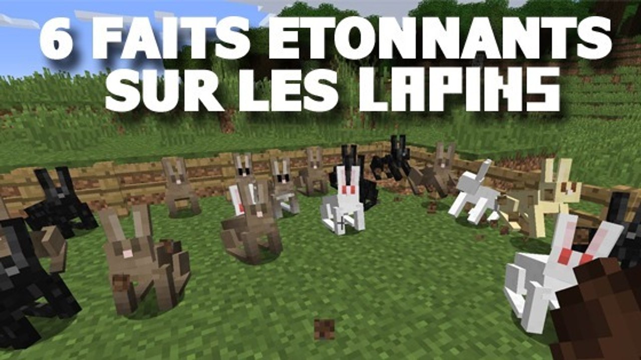 Minecraft : 6 faits surprenants sur les lapins !