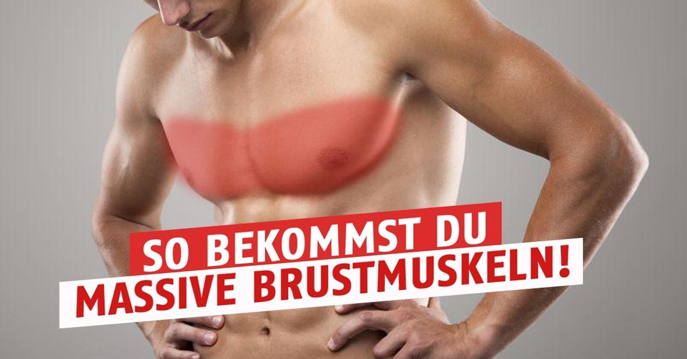 Krafttrainings-Programm: Wie ihr massive Brustmuskeln bekommt