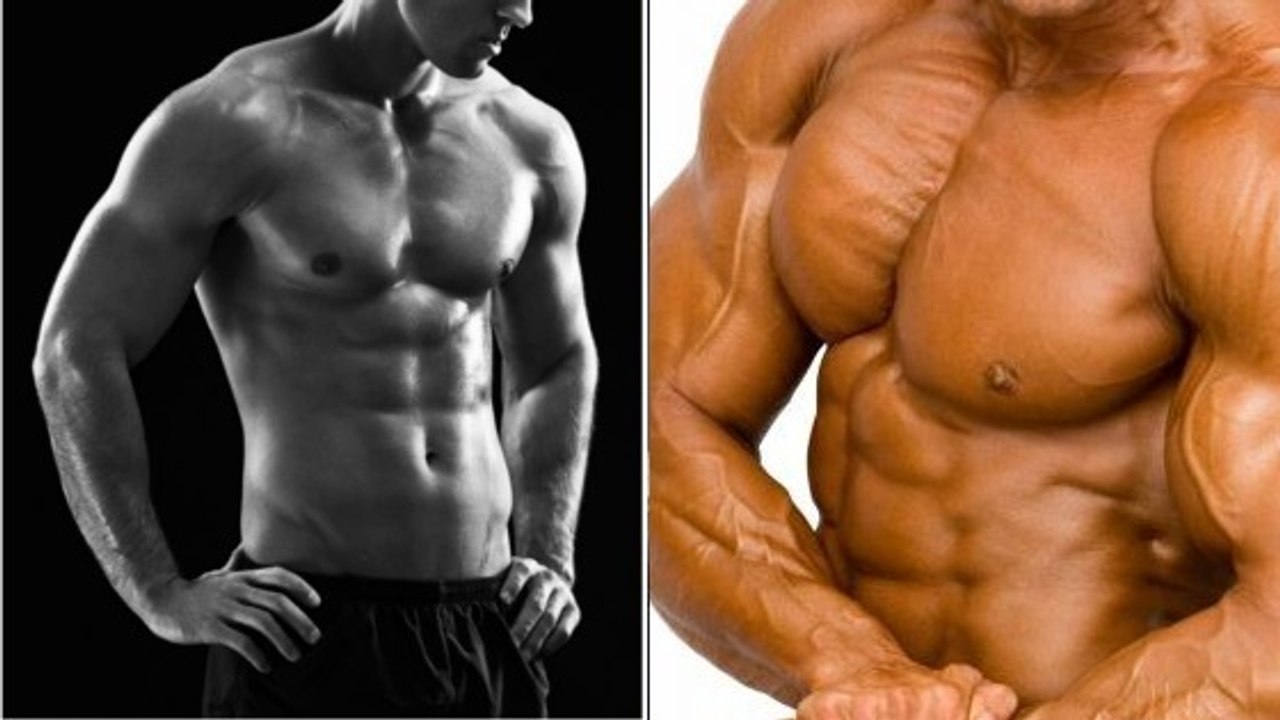 Was ist das Verhältnis zwischen Muskelkraft und -volumen?