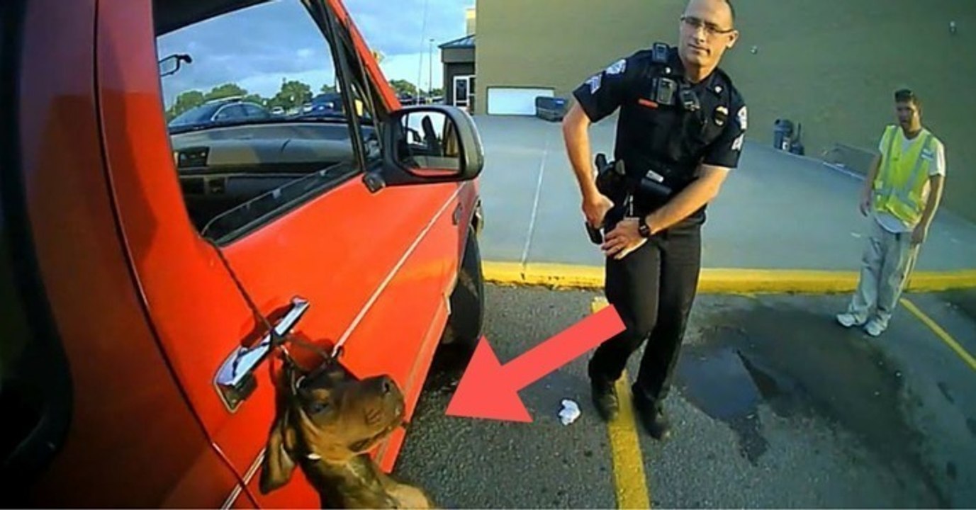 Zwei Polizisten retten einen Hund, der mit der Leine aus dem Fenster eines Fahrzeugs hängt