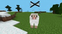 Minecraft : à quoi ressemblerait le jeu sans les noms des joueurs ?