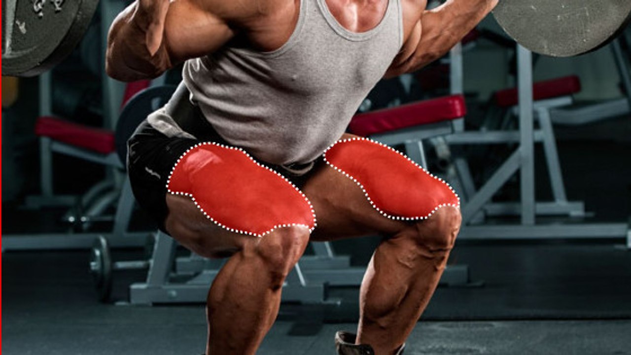 Quadrizeps-Training: Wie man perfekte Squats macht, um sich einen steinharten Quadrizeps anzutrainieren