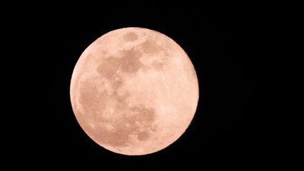 "Super Lune rose" : revivez l'événement avec les plus belles images